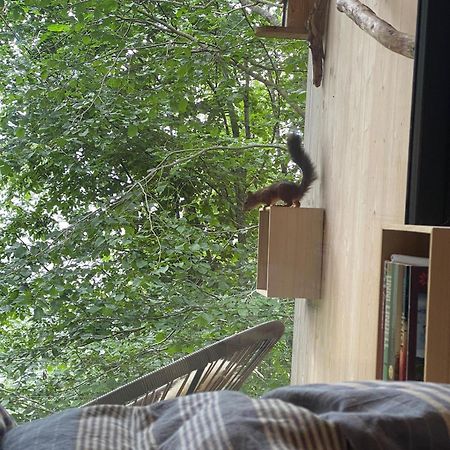 Treehut, Nature, Birds, Silence And Fjord Samlanes Luaran gambar
