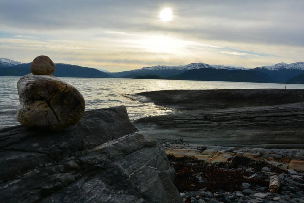 Treehut, Nature, Birds, Silence And Fjord Samlanes Luaran gambar