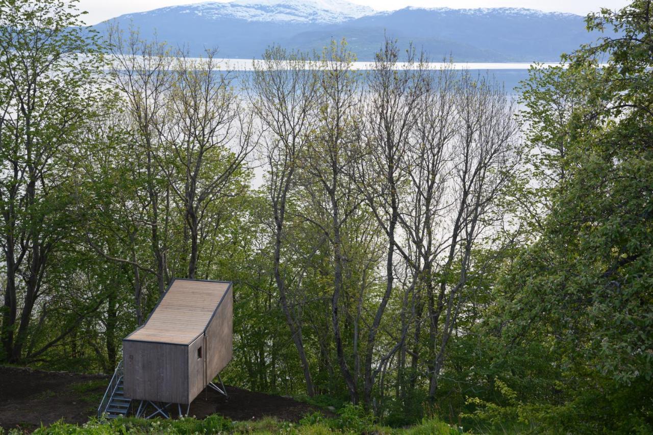 Treehut, Nature, Birds, Silence And Fjord Samlanes Luaran gambar