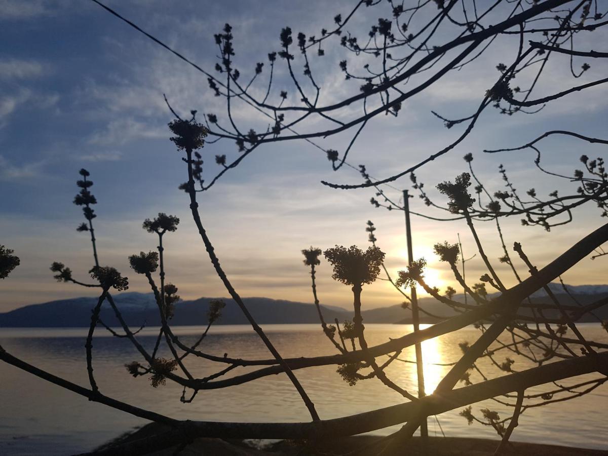 Treehut, Nature, Birds, Silence And Fjord Samlanes Luaran gambar
