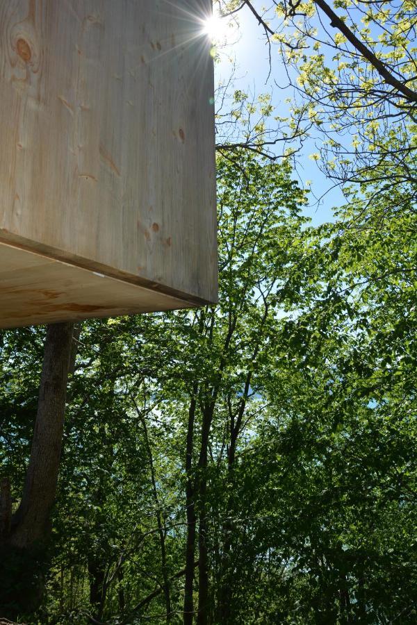 Treehut, Nature, Birds, Silence And Fjord Samlanes Luaran gambar