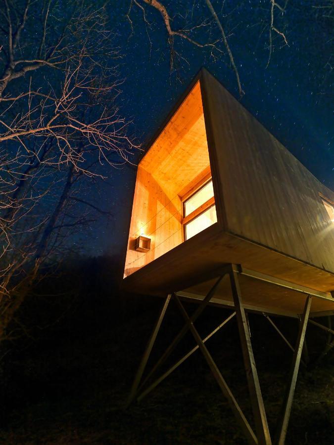 Treehut, Nature, Birds, Silence And Fjord Samlanes Luaran gambar