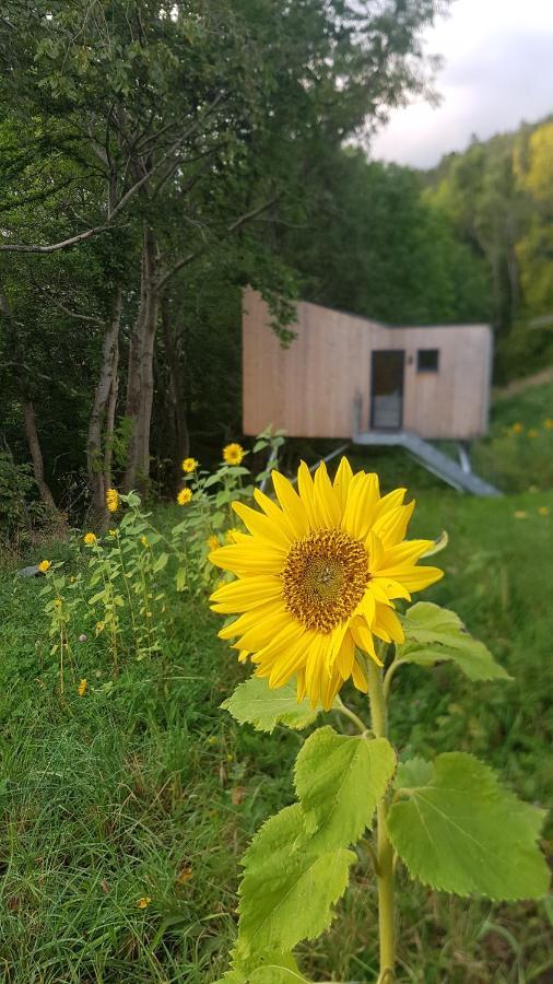 Treehut, Nature, Birds, Silence And Fjord Samlanes Luaran gambar